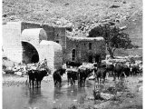 A mill near Lake Meron or the Marsh of Huleh above Lake Galilee. (A photograph by R E M Bain in about 1890)